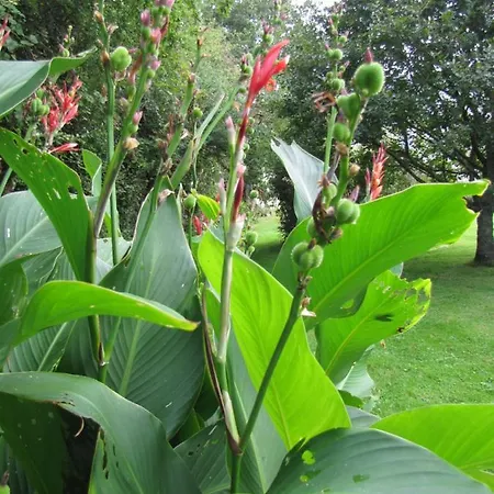 Frühstückspension Ludotheque Et Table D'hotes De La Becterie