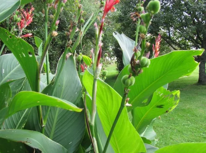 Panzió Ludotheque Et Table D'hotes De La Becterie